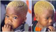 The mother should be arrested: Outrage over video of little girl getting hair dyed blonde