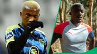 Cape Town City boss John Comitis said star striker Khanyiso Mayo Will not leave the club