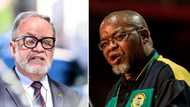 ANC Chairperson Gwede Mantashe shades Carl Niehaus, calls him a "hired firearm" at SACP congress