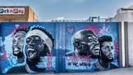 Faces of Springboks legends in new East London mural has Mzansi people beaming with pride