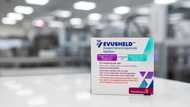 New antibody therapies fight cancer, drum up investment