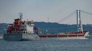 Ukraine 'optimistic' after arrival of first grain shipment