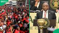 EFF boycotts Cyril Ramaphosa’s budget vote reply, brands president a constitutional delinquent
