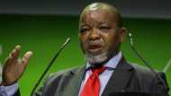 Minister Gwede Mantashe dispels allegations that his family steals, says they are just entrepreneurs