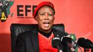 Malema claims Brian Shivambu is innocent despite R4.5 million VBS debt