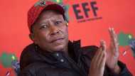 "We're not running a popcorn revolution": Malema says the EFF is growing despite not winning any municipalities