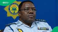 Madlanga Commission of Inquiry: Fannie Masemola says councillors faked their own hits