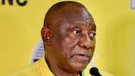 Wilful intent to steal from the public purse is unforgivable, says Cyril Ramaphosa