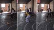 'Michael Jackson' in Pretoria: Video of dancing 'MJ' has Mzansi super impressed