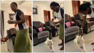 Woman anoints everyone in the house including dog, hilarious video goes viral on TikTok