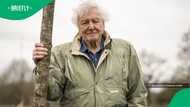 Legendary broadcaster David Attenborough celebrated worldwide on 100th birthday