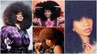 Woman with biggest afro in the world breaks record with her full beautiful hair