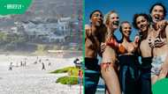 Thousands of matriculants pack Clifton Beach as minors are arrested and alcohol seized