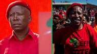 Julius Malema's year in review: EFF fires 210 reps and 5 other times the leader and party made headlines