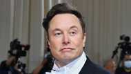 'Chief Twit' Elon Musk visits Twitter HQ as takeover deadline looms