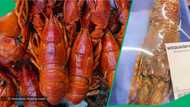 Woolworrths sells 1 lobster tail for over R500 in TikTok video