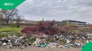 Baby found dead in plastic bag at Bophelong illegal dumping site in Vanderbijlpark