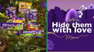 Cadbury is back with another fun-filled Easter adventure for Mzansi