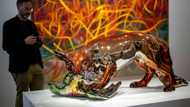 Basel defies forecast of art market slowdown
