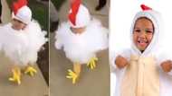 Bwak, bwak: Tot dresses like chicken for family stroll, Mzansi in awe of cuteness