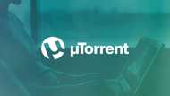 How to download a movie using uTorrent