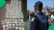 Cape Town SAPS arrests suspect with R4.5 million worth of drugs, seizes 1,000 bags of mandrax