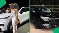 "Your whole list is immaculate": Woman showcases her favourite Chinese cars, SA wowed