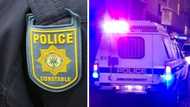 Two South African police officers arrested for drunk driving and crashing cop car in the Eastern Cape