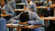 MEC Debbie Schafer laments Stage 4 load shedding ahead of matric finals: 'Disgrace'