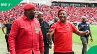 AfriForum to lay charges of corruption against Julius Malema and Floyd Shivambu