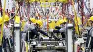 China's economy grows at slowest pace in decades but tops forecasts
