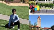 Girl studying at Stanford gets straight PhD from Carnegie & wins offer from Microsoft