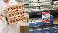 Mzansi panics about increasing egg prices amid avian flu crisis: “Learning how to make eggs”