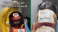 TikTok video of SA woman in South Korea's R500 grocery prices, Mzansi floored by cost of fresh food