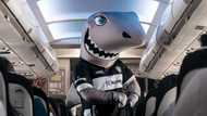 THE SHARKS AND LIFT TAKE THEIR NEW PARTNERSHIP TO 36,000 FEET