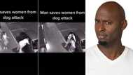 Man saves woman from dog attack but video has the internet speculating: "Looks like he tryna kidnap her"