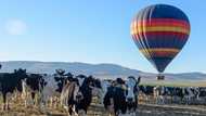 Top 15 things to do in Clarens