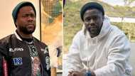 Kevin Hart's comedy show in Cairo cancelled after he referred to ancient Egyptians as black