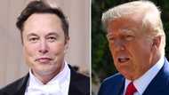 Elon Musk lifts Donald Trump's Twitter ban after poll results, tweeps split over decision: "Very dangerous"