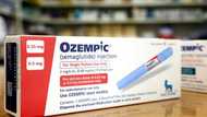 Obesity drugs give Danish economy a major boost