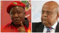 The EFF accuses Minister Pravin Gordhan of being a Gupta accomplice