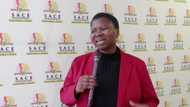 Facts: SACE requirements, registration, number, online log in, offices, contact details