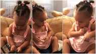 Baby girl takes money from a wallet and stashes it, video has people rolling