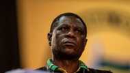 Paul Mashatile reassures media houses that they won't have to pay a fee to cover ANC's Nasrec conference