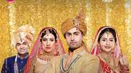 Ring of Fire teasers January 2021: More drama at the Singh household