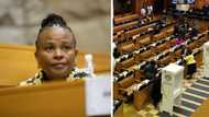 Busisiwe Mkhwebane name-drops in ANC MP bribery solicitation scandal, IFP wants proof