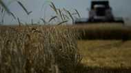 EU states agree 'prohibitive' tariffs on Russia grain imports