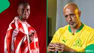 Cardoso explains why Mamelodi Sundowns let Lorch reunite with Mokwena at Wydad