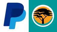 Easy steps to link FNB PayPal accounts