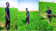 Fresh graduate who acquired farmland and started rice farming